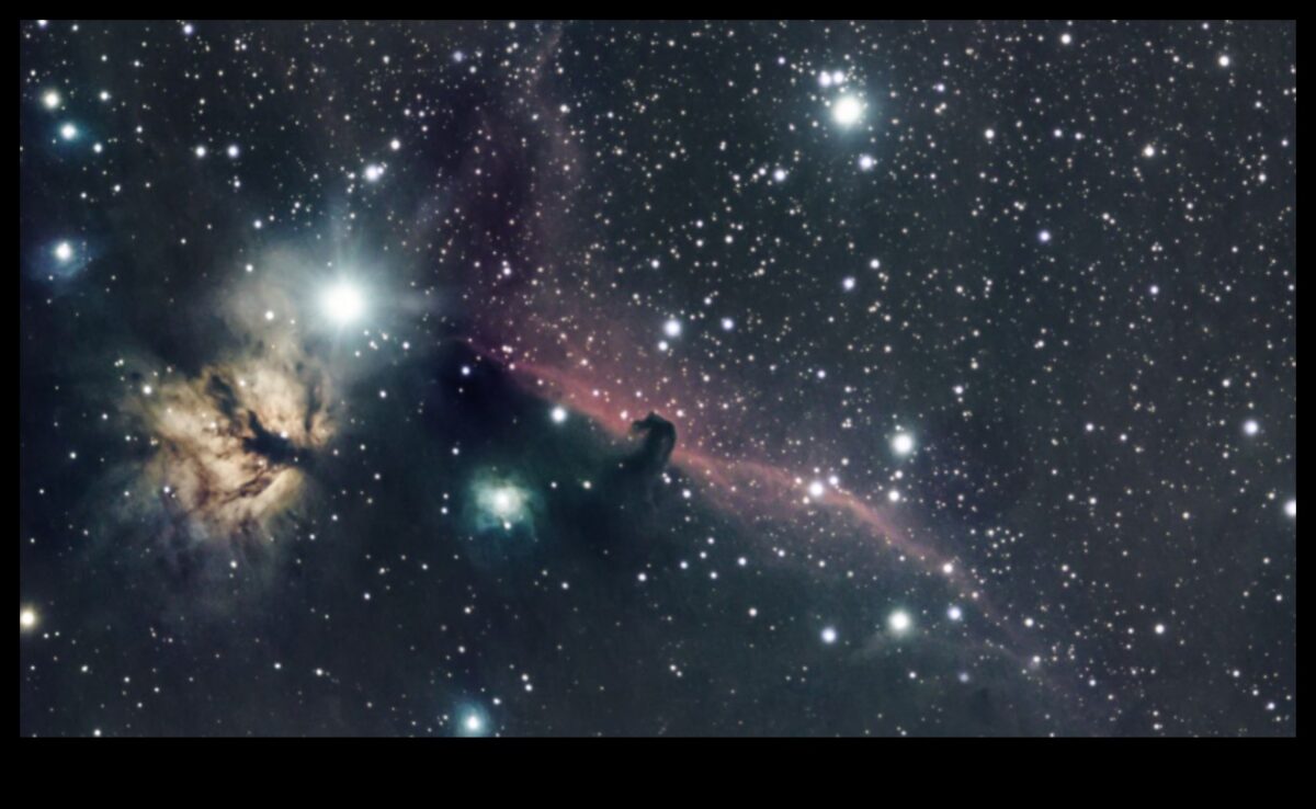 مختارات علم الفلك: كشف النقاب عن مجموعة متنوعة من الحكايات النجمية