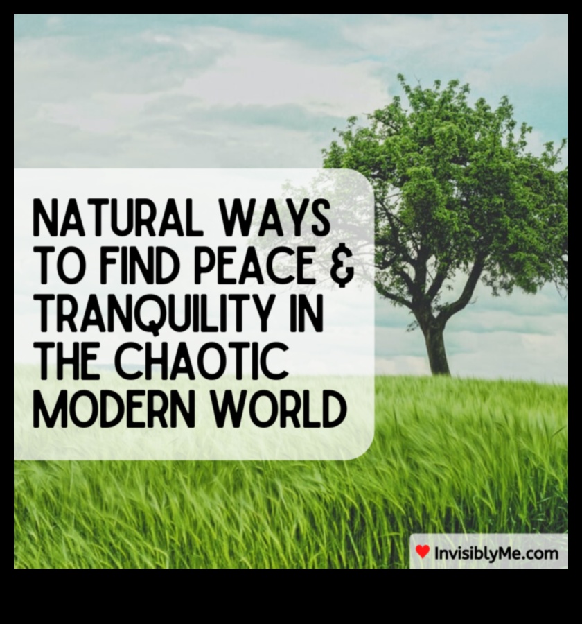 حياة Zenful: العيش في تدفق تقنيات تخفيف التوتر الواعي