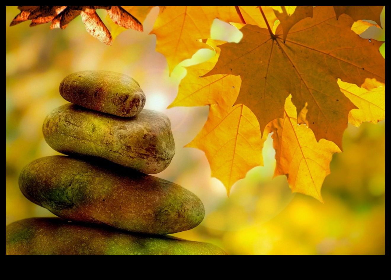 حياة Zenful: العيش في تدفق تقنيات تخفيف التوتر الواعي