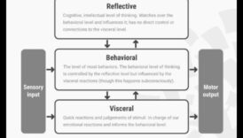 صدى التصميم: خلق انطباعات دائمة في التفكير الابتكاري