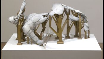 المنحوتات الحية: العالم الديناميكي لفن الجسد التحويلي