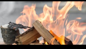 فن حرق الخشب: الصياغة باستخدام تقنيات البيروغرافيا