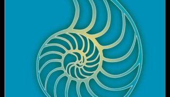 رحلة إلى الداخل: أفضل الكتب لتجربة تأمل عميقة